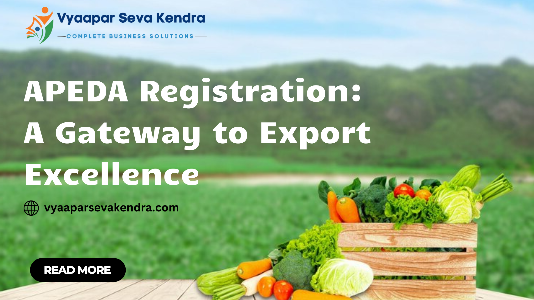 APEDA Registration: A Gateway to Export Excellence