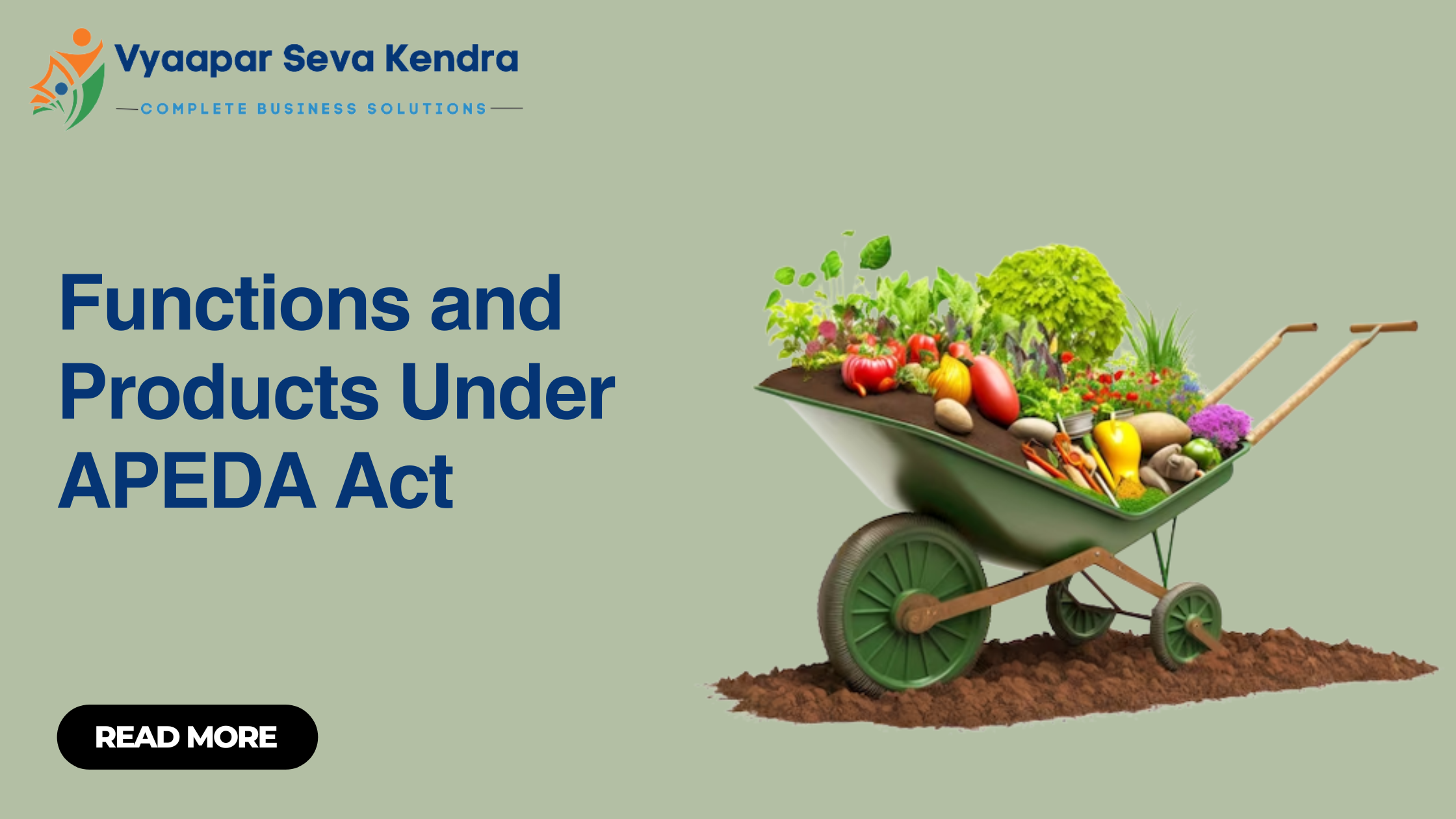 Functions and Products Under APEDA Act